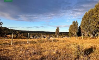 Parcela En Venta En Fresia Sector Rio Blanco