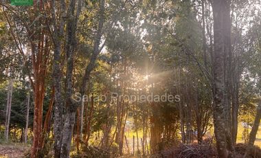 Parcela En Venta En Fresia Sector Rio Blanco