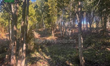 Parcela En Venta En Fresia Sector Rio Blanco