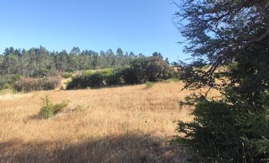 Parcela En Venta En San Nicolás