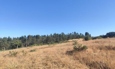 Parcela En Venta En San Nicolás