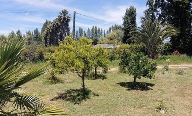 Venta Casa En Parcela En San Vicente De Tagua Tagua