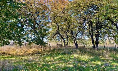 Hermosa Parcela Con Casa En Venta, Rio Negro