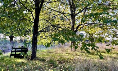Hermosa Parcela Con Casa En Venta, Rio Negro