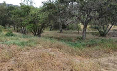 Parcela En Venta En Melipilla