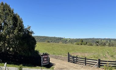 Parcela En Venta En Fresia Mirador Del Mañio