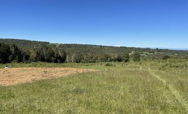 Parcela En Venta En Fresia Mirador Del Mañio