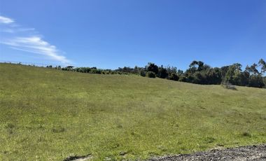 Parcela En Venta En Fresia Mirador Del Mañio