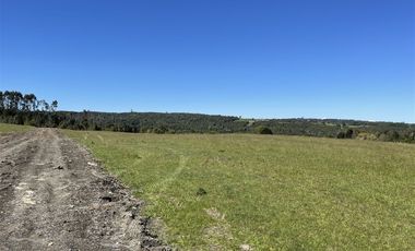 Parcela En Venta En Fresia Mirador Del Mañio