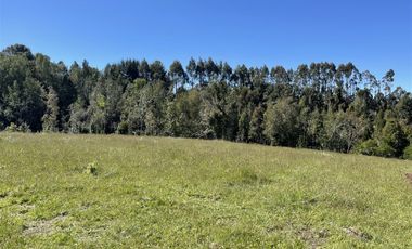 Parcela En Venta En Fresia Mirador Del Mañio