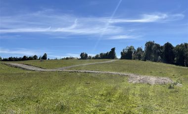 Parcela En Venta En Fresia Mirador Del Mañio