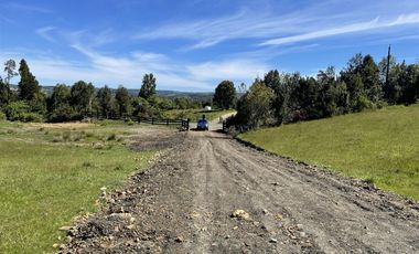 Parcela En Venta En Fresia Mirador Del Mañio