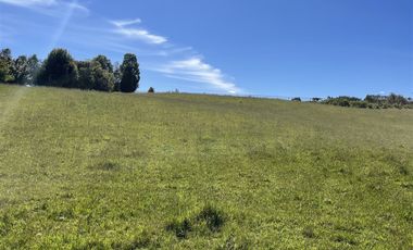 Parcela En Venta En Fresia Mirador Del Mañio