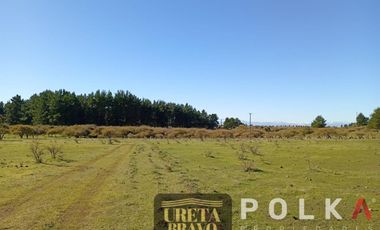 Otros En Venta En Chillán Viejo