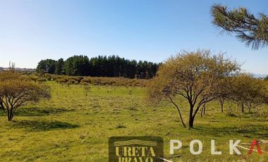 Otros En Venta En Chillán Viejo