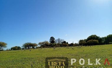 Otros En Venta En Chillán Viejo