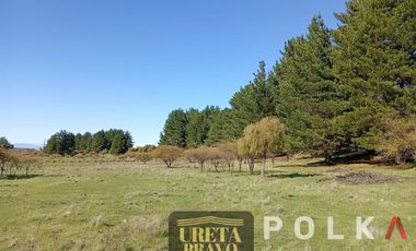 Otros En Venta En Chillán Viejo