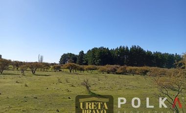 Otros En Venta En Chillán Viejo