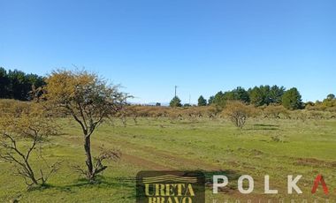 Otros En Venta En Chillán Viejo