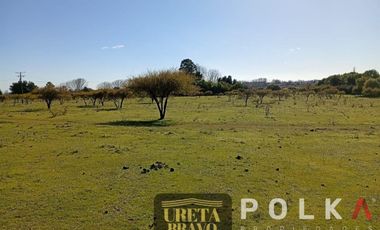 Otros En Venta En Chillán Viejo