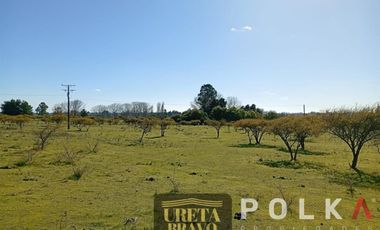 Otros En Venta En Chillán Viejo