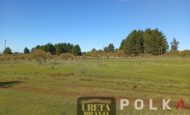 Otros En Venta En Chillán Viejo