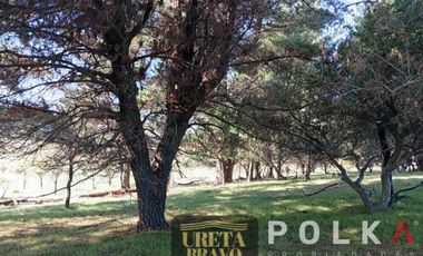 Otros En Venta En Chillán Viejo