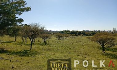 Otros En Venta En Chillán Viejo