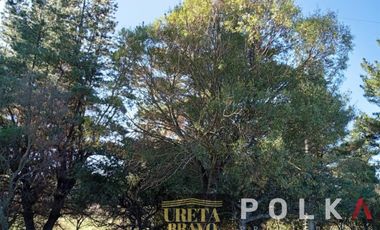 Otros En Venta En Chillán Viejo