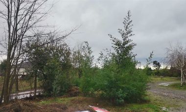 Parcela En Venta En San Ignacio Con Casa 5000 M2/290m2