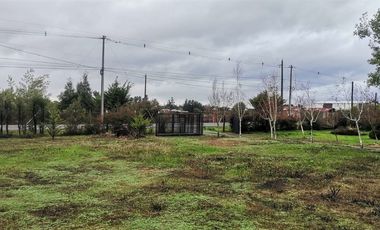 Parcela En Venta En San Ignacio Con Casa 5000 M2/290m2