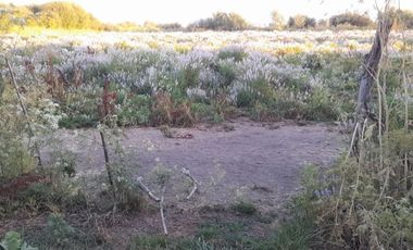 Parcela En Venta En Longaví