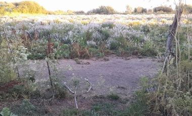 Parcela En Venta En Longaví