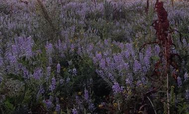 Parcela En Venta En Longaví