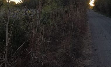 Parcela En Venta En Longaví