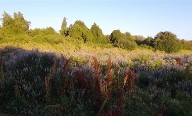 Parcela En Venta En Longaví