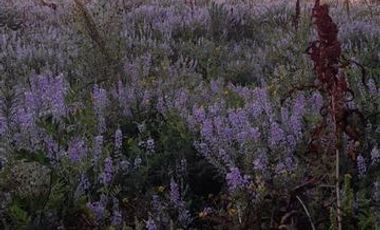 Parcela En Venta En Longaví