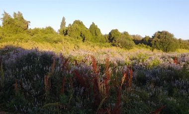 Parcela En Venta En Longaví