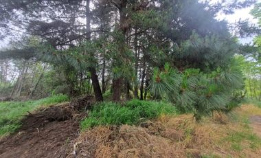 Parcela ( 3 Sitios Rol Propio Cada Uno)en Venta En Quillón