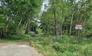 Parcela ( 3 Sitios Rol Propio Cada Uno)en Venta En Quillón