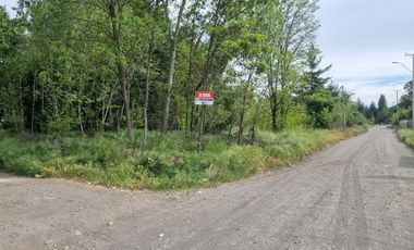 Parcela ( 3 Sitios Rol Propio Cada Uno)en Venta En Quillón