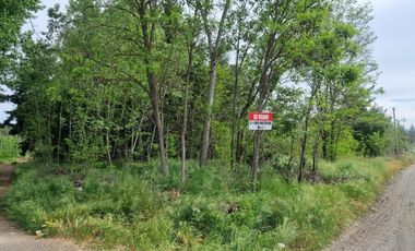 Parcela ( 3 Sitios Rol Propio Cada Uno)en Venta En Quillón