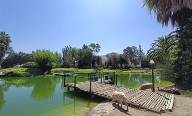 Parcela Con Casas Y Laguna Artificial En Curacaví