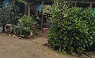 Parcela En Venta En Quillón Con 2 Casas Y Tinaja.