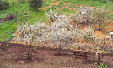 Parcela En Venta En Quillón Con 2 Casas Y Tinaja.