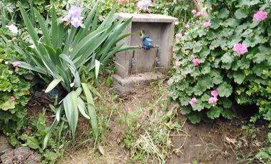 Parcela En Venta En Quillón Con 2 Casas Y Tinaja.