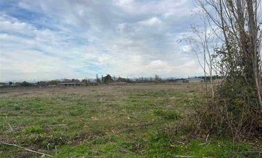 Terreno En Venta En Coihueco, Parcela En Plano