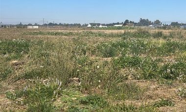 Terreno En Venta En Coihueco, Parcela En Plano