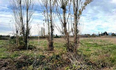 Terreno En Venta En Coihueco, Parcela En Plano