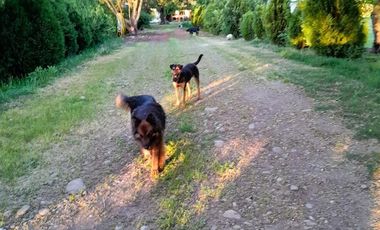 Parcela En Venta En Longaví, Casa 3d